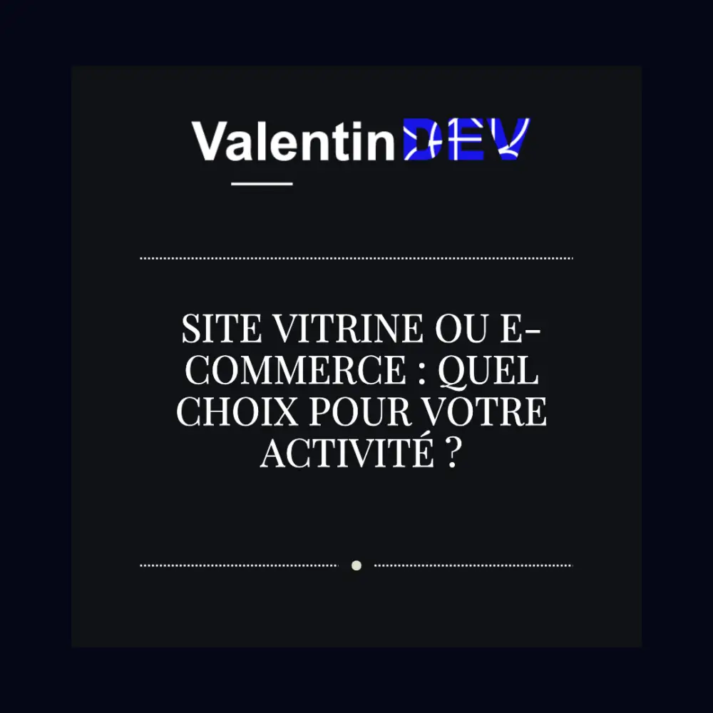 Site vitrine ou e commerce quel choix pour votre activite