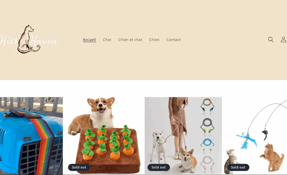 Exemple de boutique Shopify – démo agence Valentin DEV